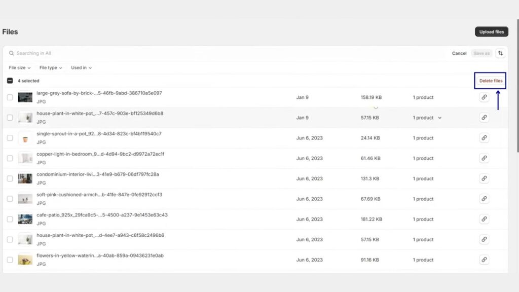 Delete a File on Shopify Store